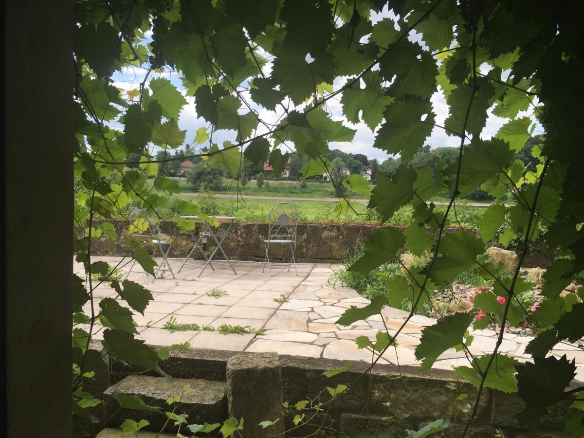 Plantagengut Hosterwitz Gasthof Dresden